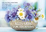 Postkarten: Alles Liebe zum Geburtstag, 4 Stück Postkarten: Alles Liebe zum Geburtstag, 4 Stück