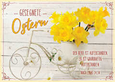 Postkartenserie "Gesegnete Ostern" Narzissen - 12 Stück