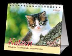 Katzen 2020 - 2 in 1-Tischkalender