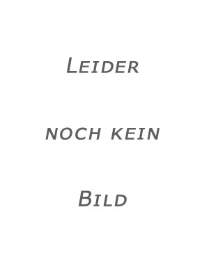 Honor Ayres - Bethan James - 101 x Bibelspass - Weihnachten 101 x Bibelspass - Weihnachten