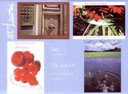 Postkarten-Set Du und ich Postkarten-Set Du und ich