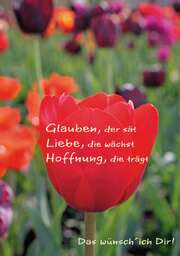Faltkarte "Glauben, der sät..." - 5 Stück Faltkarte "Glauben, der sät..." - 5 Stück