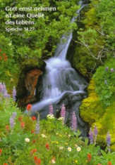 Postkarten Wasserfall mit Blumen, 6 Stück