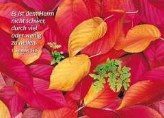 Postkarten Herbstblätter, 6 Stück