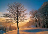 Urs Bachmann - Faltkarten Winterlandschaften, 5 Stück Faltkarten Winterlandschaften, 5 Stück