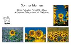 Faltkartenbox Sonnenblumen, 4 Stück