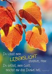 Postkarten: Du lässt mein Lebenslicht strahlen, 12 Stück Postkarten: Du lässt mein Lebenslicht strahlen, 12 Stück