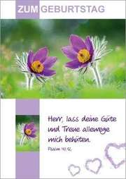 Postkartenserie Zum Geburtstag - 12 Stück Postkartenserie Zum Geburtstag - 12 Stück