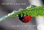 Sören Kahl - Faltkarte: Gott hält dich in seiner Hand - Konfirmation Faltkarte: Gott hält dich in seiner Hand - Konfirmation