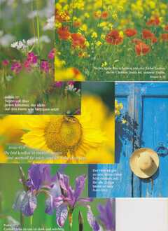 Postkartenserie Frühlings-/Sommerblumen, 25 Stück