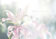 Jan Henkel - Postkarten "Beautiful" - 5er Set Postkarten "Beautiful" - 5er Set