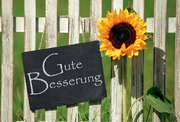 Faltkarte "Gute Besserung" - 5 Stück Faltkarte "Gute Besserung" - 5 Stück