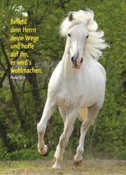 Postkarten: Befiehl dem Herrn, 12 Stück Postkarten: Befiehl dem Herrn, 12 Stück