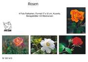 Faltkartenbox Rosen, 4 Stück Faltkartenbox Rosen, 4 Stück