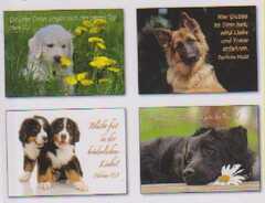 Kleinkärtchenserie Junge Hunde - 12 Stück Kleinkärtchenserie Junge Hunde - 12 Stück