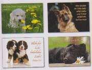 Kleinkärtchenserie Junge Hunde - 12 Stück Kleinkärtchenserie Junge Hunde - 12 Stück