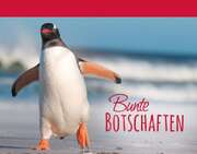 Irmtraud Fröse-Schreer - Bunte Botschaften 4 - Pinguin Kartenbuch Bunte Botschaften 4 - Pinguin Kartenbuch